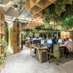 Diseño Biófilo en la Oficina: Integrando la Naturaleza en el Entorno Laboral